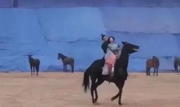 圈内人爆料赵露思,圈内人揭秘她的真实生活